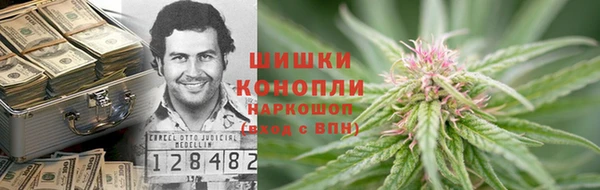 тгк Пересвет