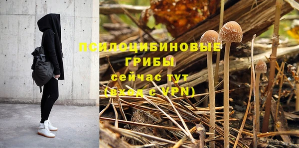 хмурый Пестово