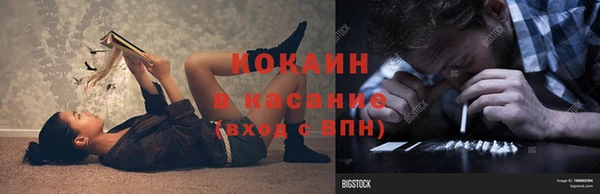 гидра Дедовск
